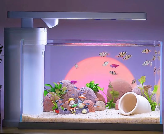 Exploring the Tranquility of a Small Desktop Fish Tank