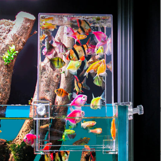 Seaoura Floating Fish Tank: The Perfect Blend of Aesthetics and Functionality